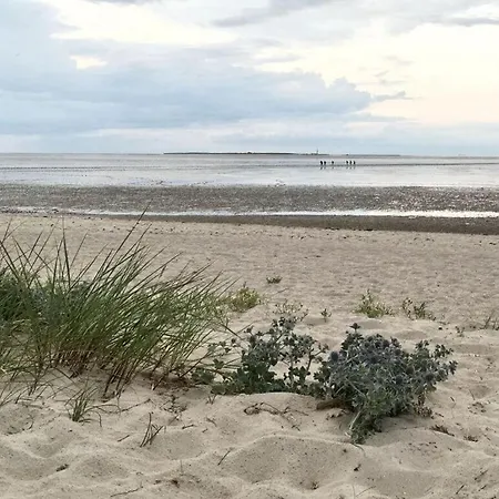 Zur Nordsee * Schillig
